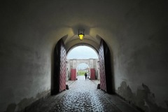 IMG_7507-copia