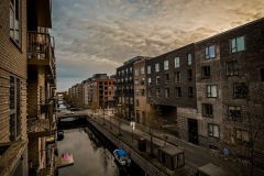 IMG_7643
