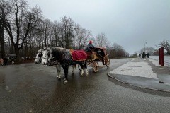 IMG_7981