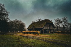 IMG_8035-1