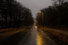 IMG_8103