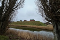 IMG_8509