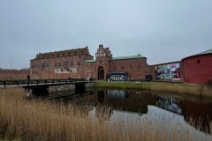 IMG_8520