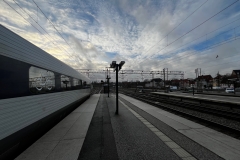 IMG_8880