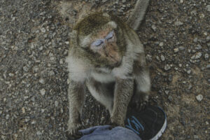 img 5840
