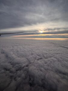 img 6839