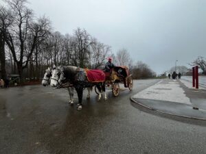 img 7981