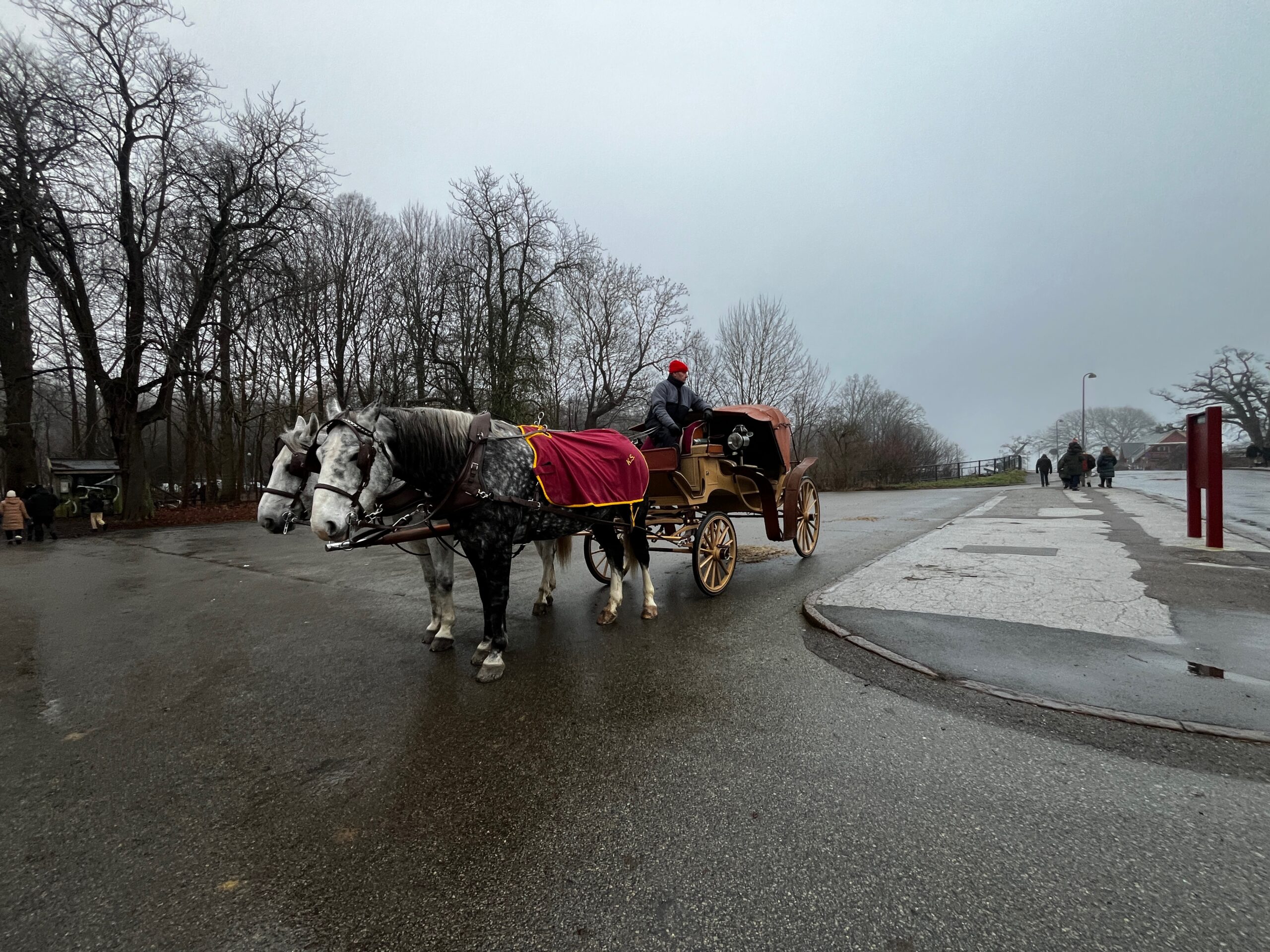 img 7981