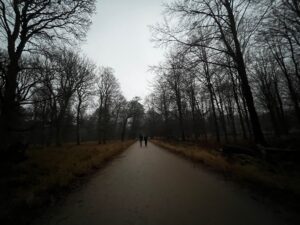 img 8083